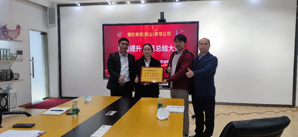跨境电商结硕果 管理变革促成长——德伦电商项目完美验收